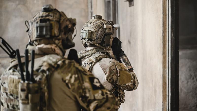 Fakt kontra fikcja w literaturze militarnej