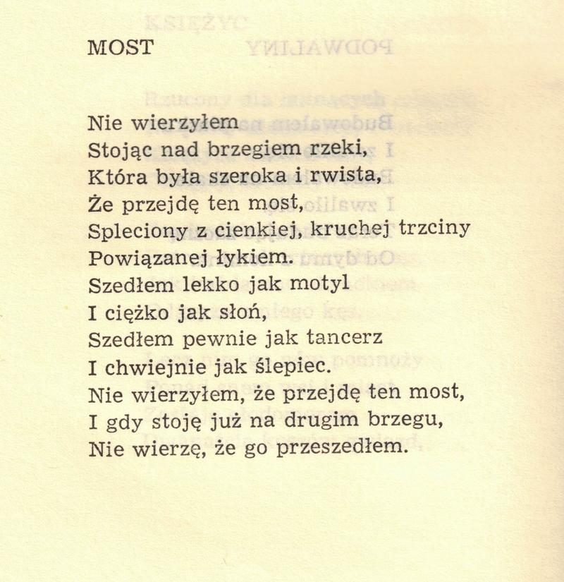 Interpretacja wiersza przez czytelnika