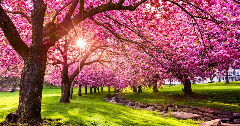 Kreatywne zabawy z rymami dla dzieci