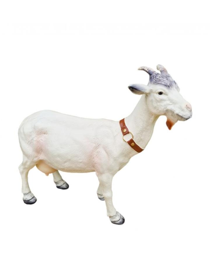 Kultura ludowa w poezji