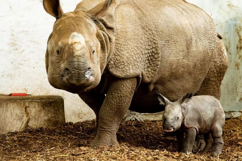 Nadzieja i uzdrawianie