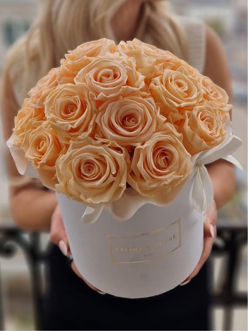 Pielęgnacja róż poradnik