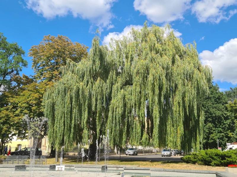 Psychologia postaci i ludzkie emocje