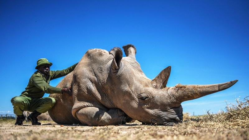 Radość w trudnych chwilach