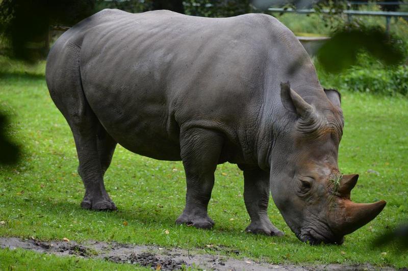 Rola przyrody w odzyskiwaniu uśmiechu