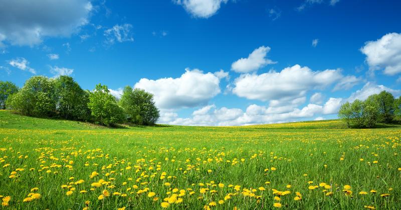 Rozwijanie słownictwa na lekcjach języka polskiego