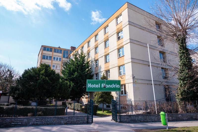 Echo tragedii na polach Flandrii – analiza wiersza, który porusza serca