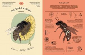 Tajemnice skrywane za zamkniętymi drzwiami – o czym tak naprawdę opowiada ta książka?