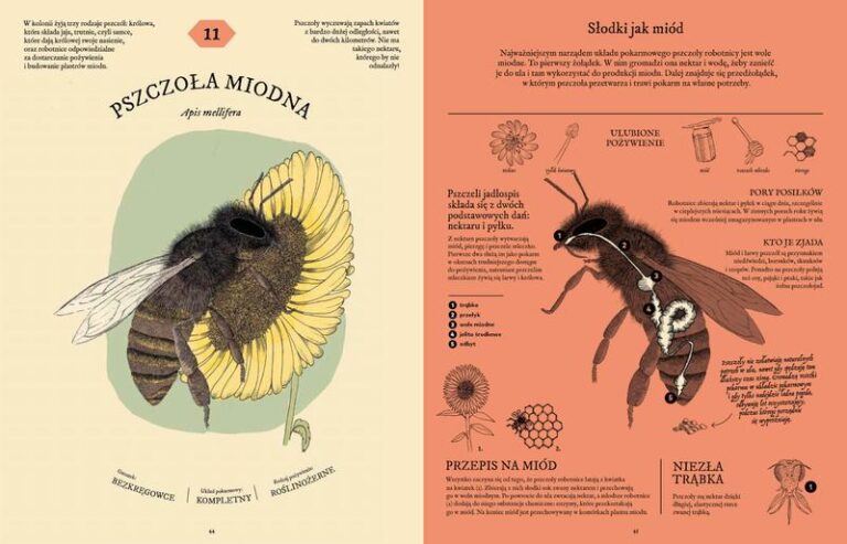 Tajemnice skrywane za zamkniętymi drzwiami – o czym tak naprawdę opowiada ta książka?