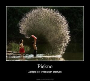 W poszukiwaniu piękna – bez nich biały wiersz traci swój sens