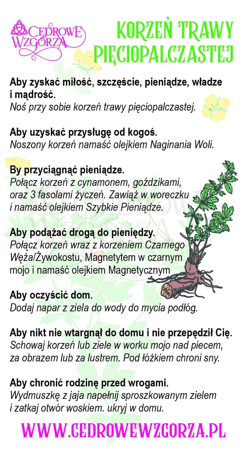 Cytaty literackie o miłości
