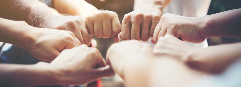 Siła braterstwa w Piśmie Świętym