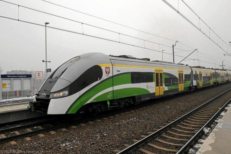 Niezwykła podróż: historia psa, który jeździł koleją w filmie o przyjaźni i przygodzie