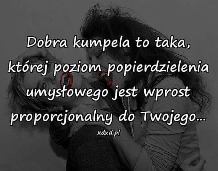 Najpiękniejsze cytaty o przyjaźni