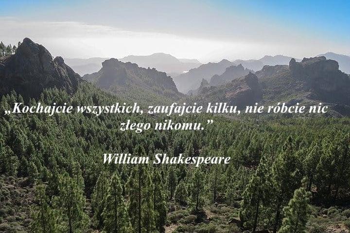 Poezja i rysunki w dzienniku