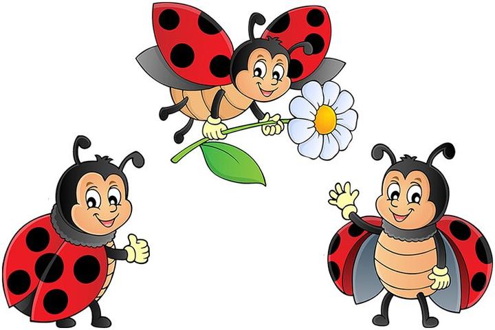 Wiersze o biedroneczkach