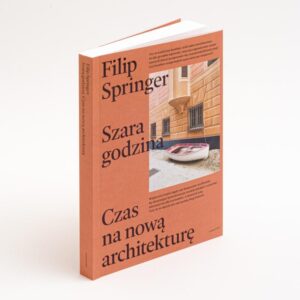 Magia chwil w wierszu o szarej godzinie