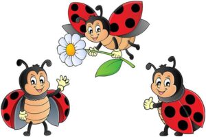 Urokliwe wiersze o biedroneczkach, które zachwycą każdego