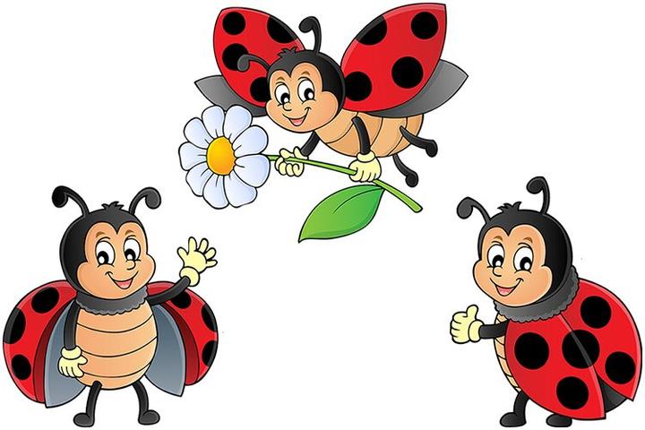 Urokliwe wiersze o biedroneczkach, które zachwycą każdego