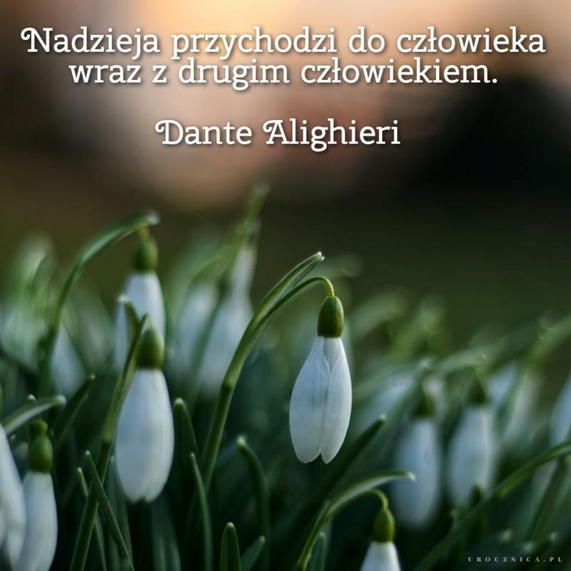 Jak odnaleźć sens po stracie