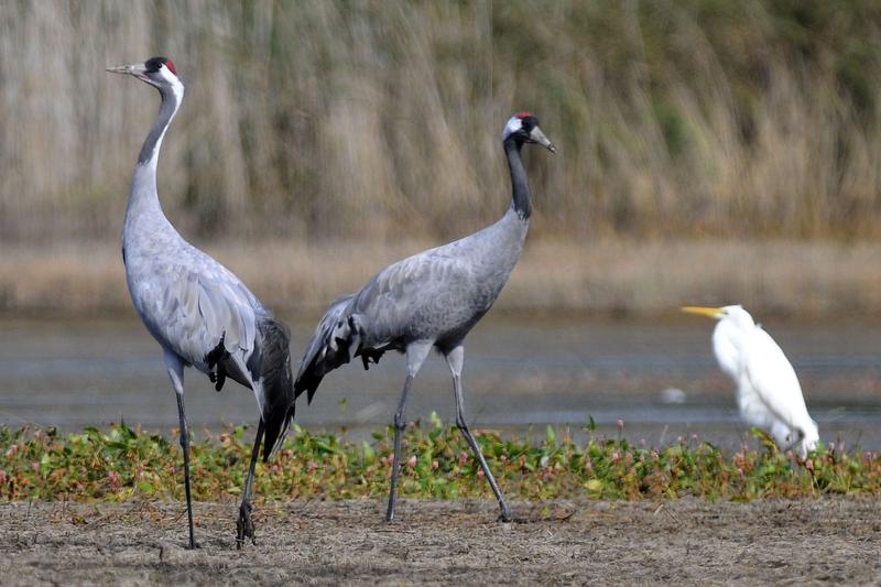Kreatywne pisanie i ćwiczenia dialogu