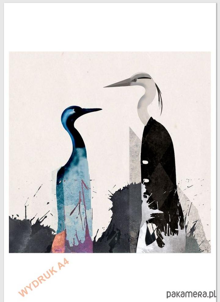 Symbolika i ludzkie relacje w poezji