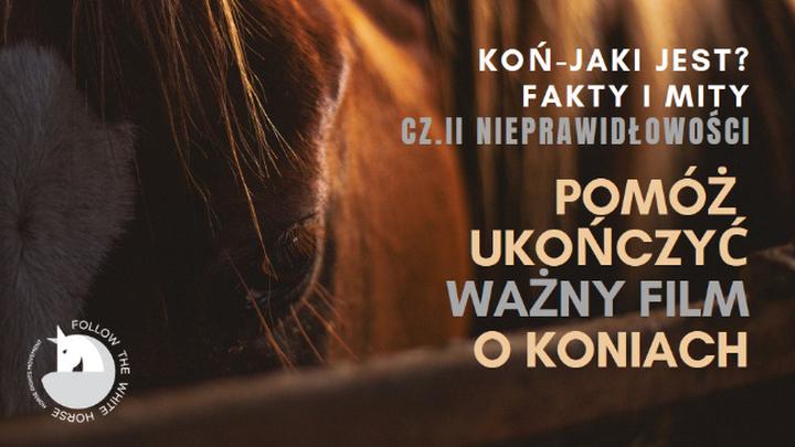 Żywienie koni fakty i mity