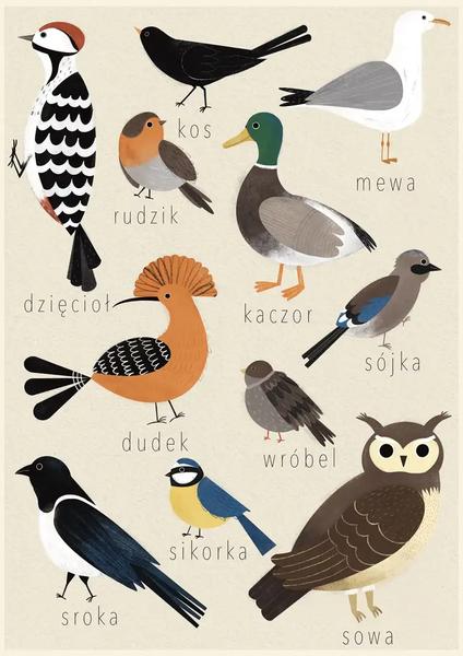 Birdwatching i literatura