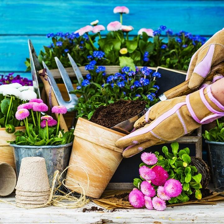 Inspiracje do zielonej przestrzeni