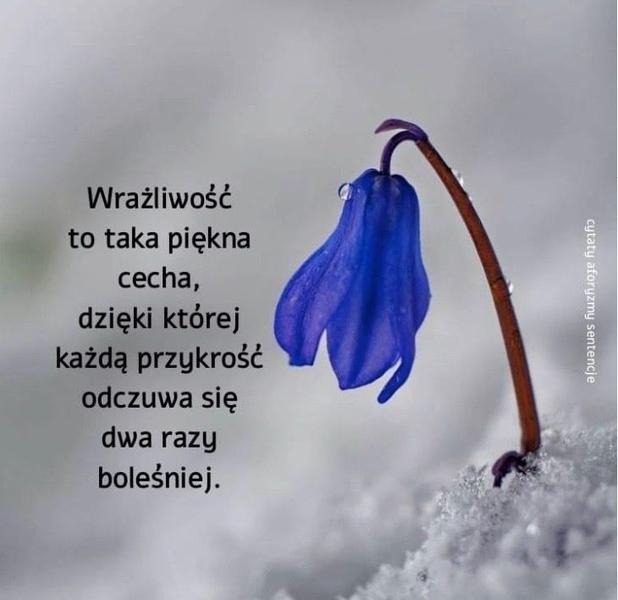 Cytaty o ludziach wrażliwych, które poruszają serce i umysł