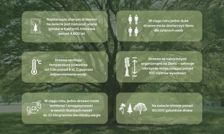 Odkrywając tajemnice: książka o duszy w poszukiwaniu sensu życia